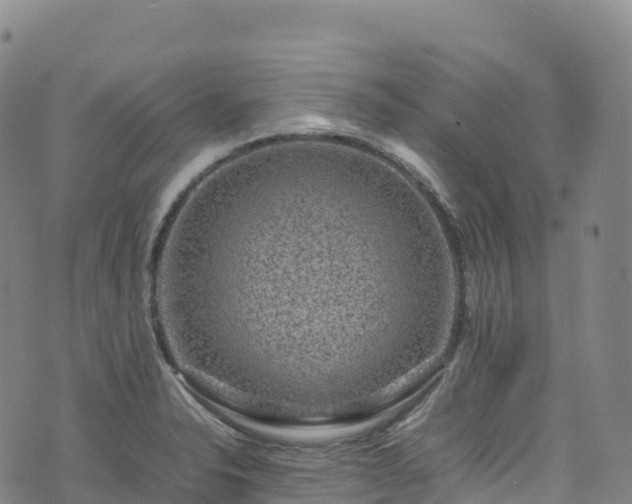 X0000074291326200609011357