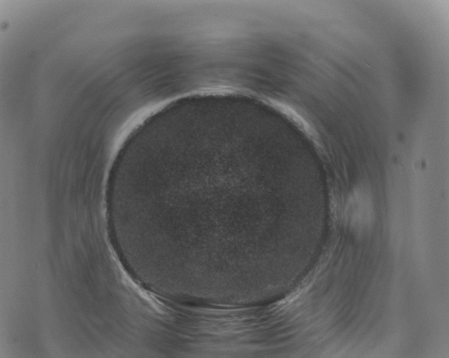 X0000074291327200609011357