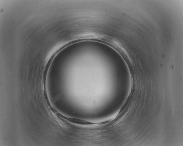 X0000074291328200609011357