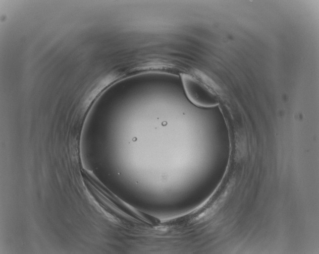 X0000074291329200609011357