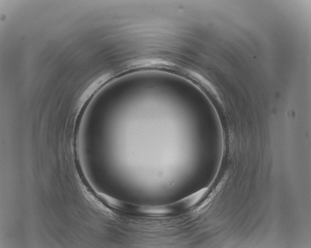 X0000074291330200609011357