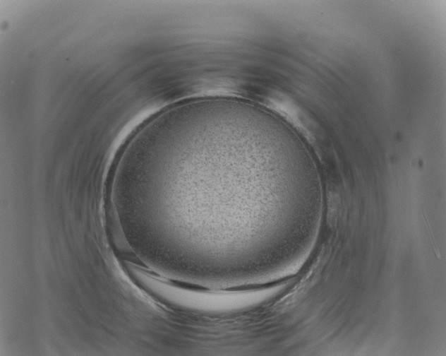 X0000074291331200609011357