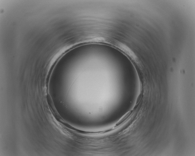 X0000074291332200609011357