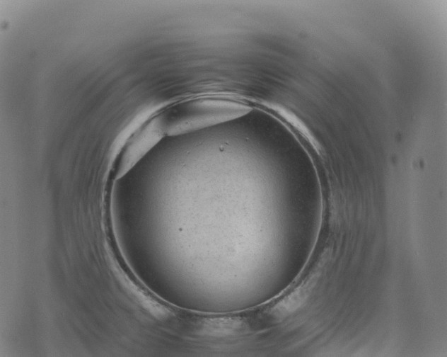 X0000074291333200609011357