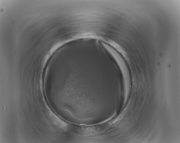 X0000074291334200609011357