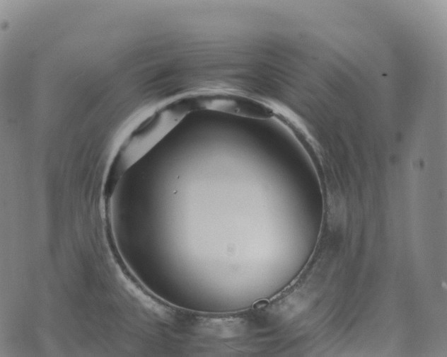 X0000074291335200609011357