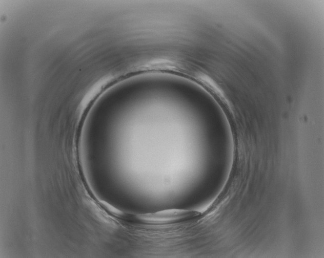 X0000074291336200609011357