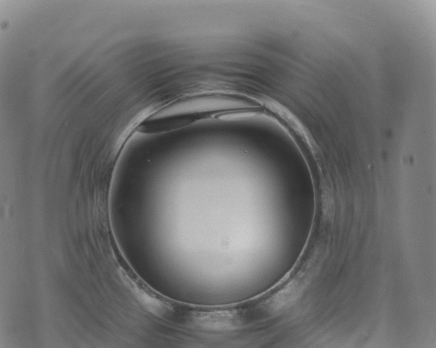 X0000074291337200609011357