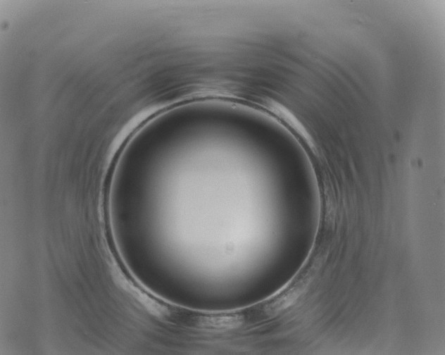 X0000074291339200609011357