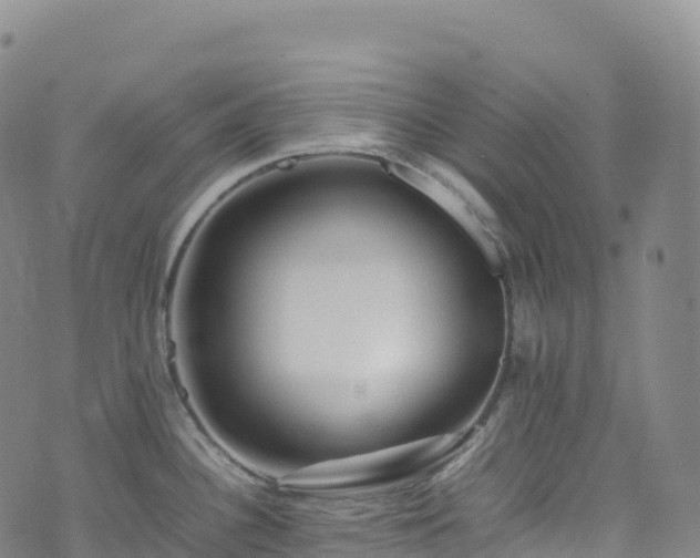 X0000074291340200609011357