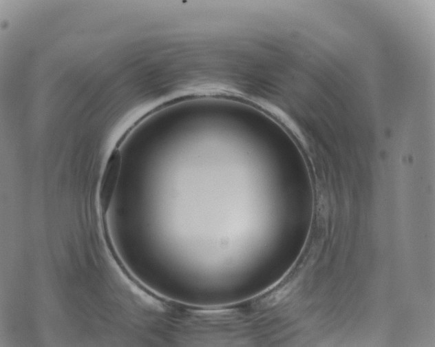 X0000074291343200609011357