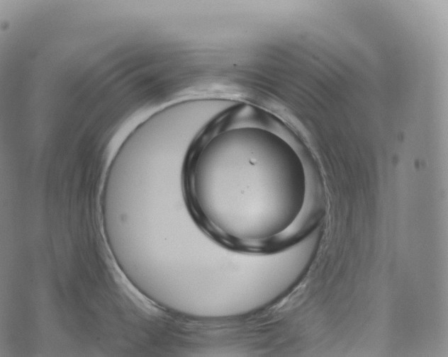 X0000074291344200609011357