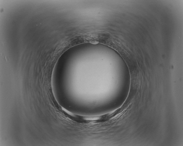 X0000074291345200609011357