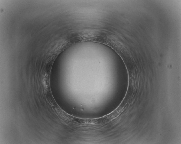 X0000074291346200609011357