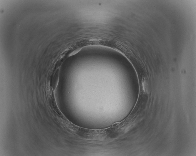 X0000074291347200609011357