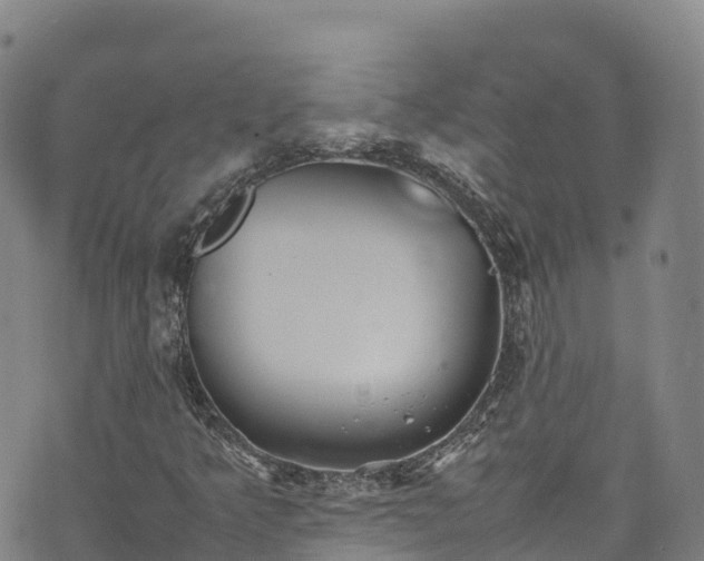 X0000074291349200609011357