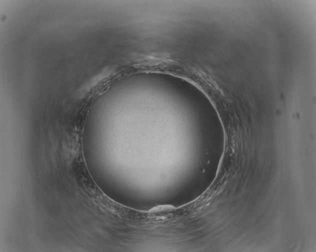 X0000074291350200609011356