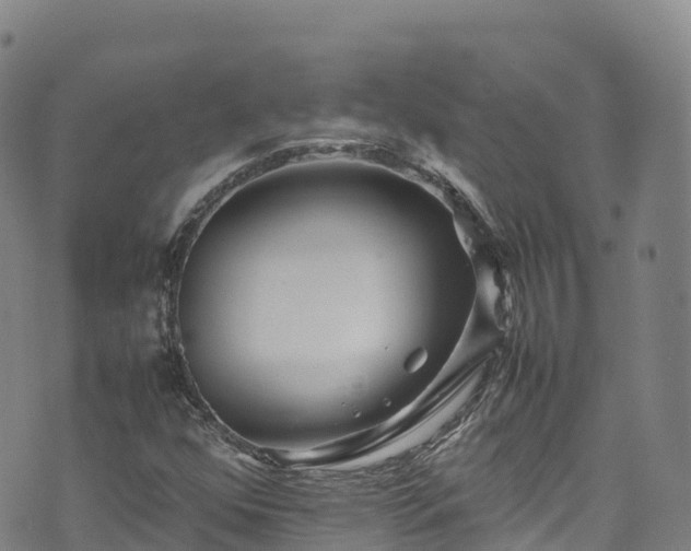 X0000074291352200609011356