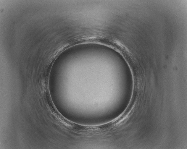 X0000074291353200609011356