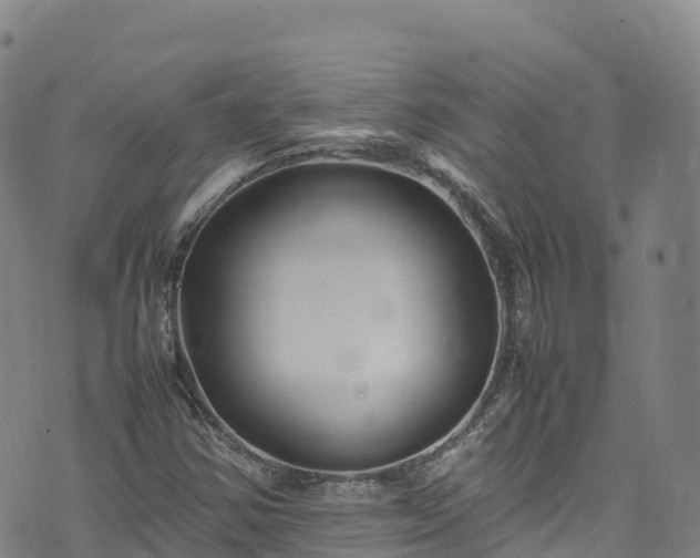 X0000074291354200609011356