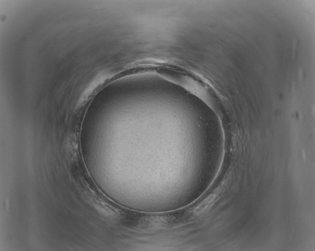 X0000074291355200609011356