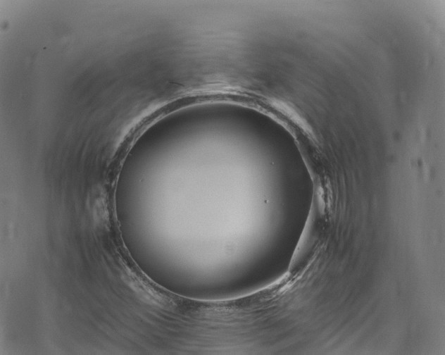 X0000074291356200609011356