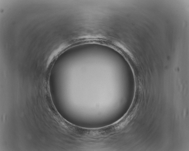 X0000074291357200609011356