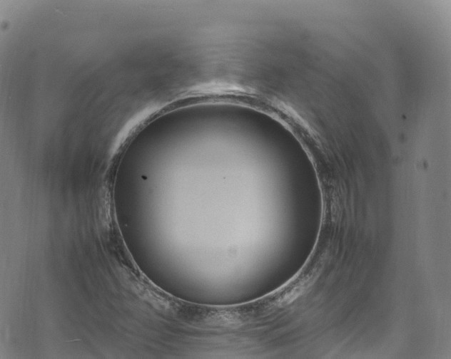 X0000074291358200609011356