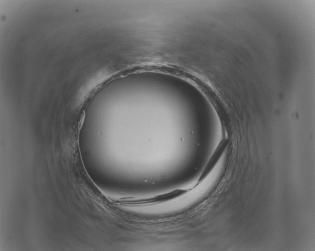 X0000074291359200609011356