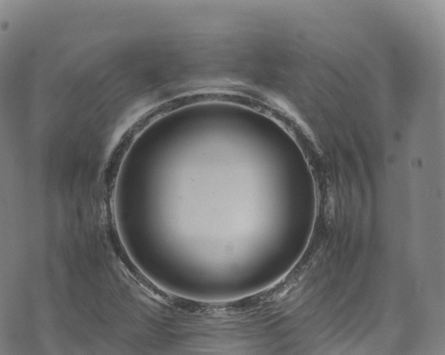 X0000074291360200609011356