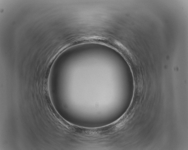 X0000074291361200609011356