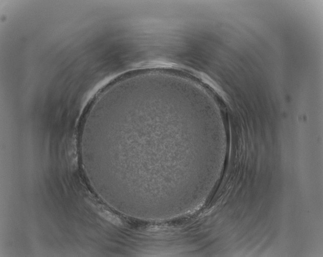 X0000074291364200609011356