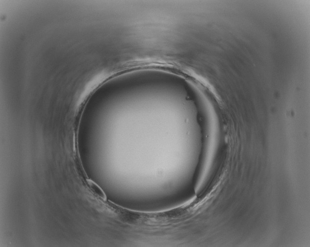 X0000074291365200609011356