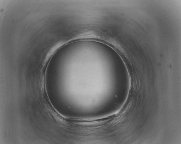 X0000074291366200609011356