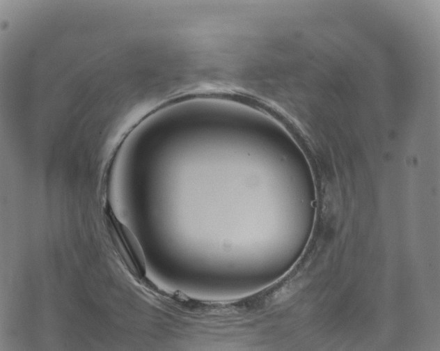 X0000074291367200609011356