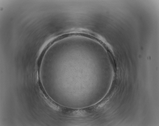 X0000074291368200609011356