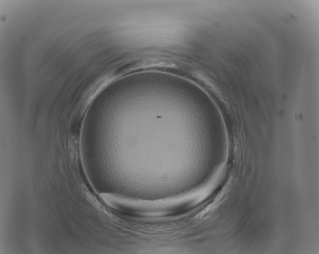 X0000074291369200609011356