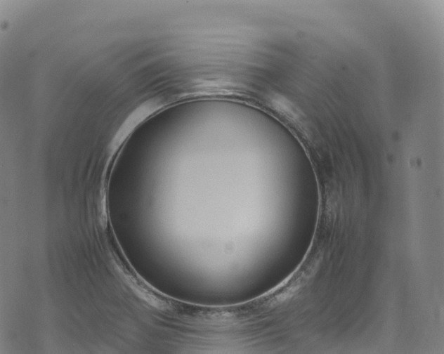 X0000074291370200609011356