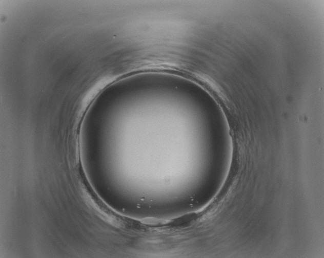 X0000074291371200609011356