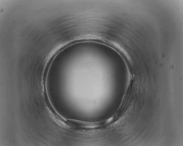 X0000074291372200609011356