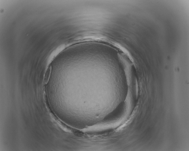 X0000074291373200609011356