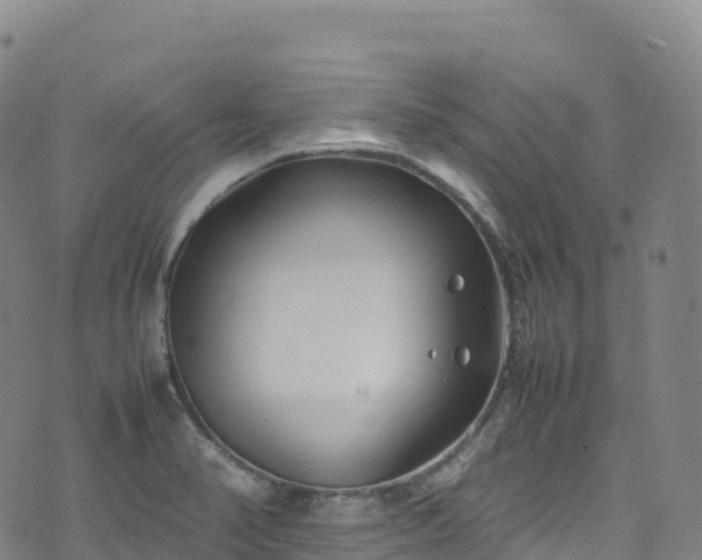 X0000074291374200609011356