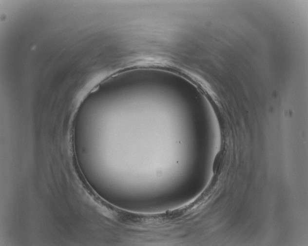 X0000074291375200609011356