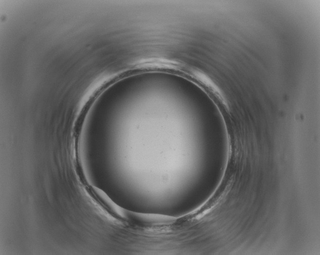 X0000074291376200609011356