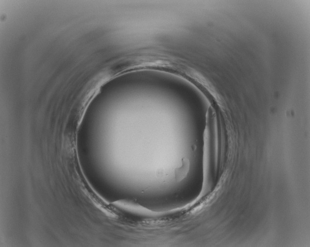 X0000074291377200609011356