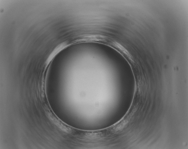 X0000074291378200609011356