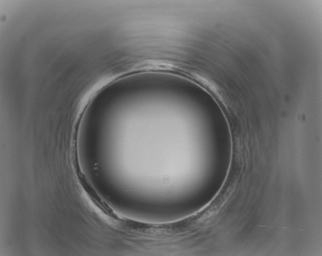 X0000074291379200609011356