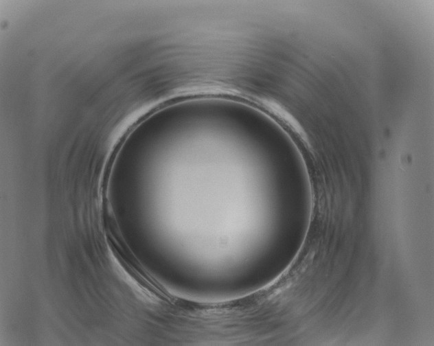 X0000074291380200609011356