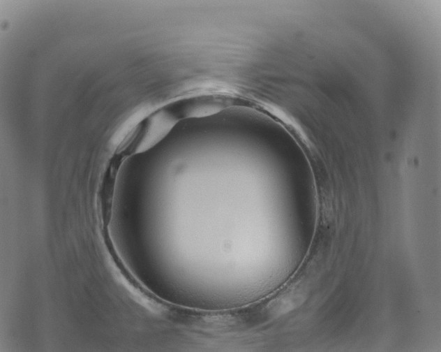 X0000074291383200609011356