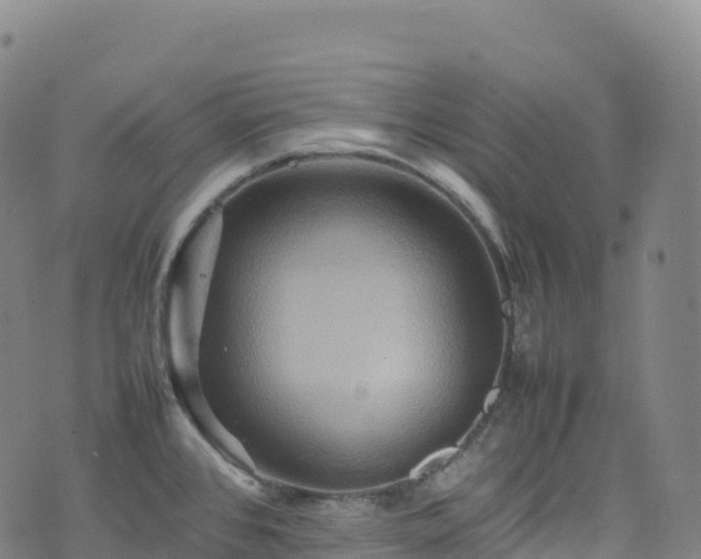 X0000074291384200609011356